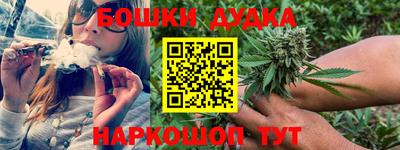 прущий лед Кингисепп