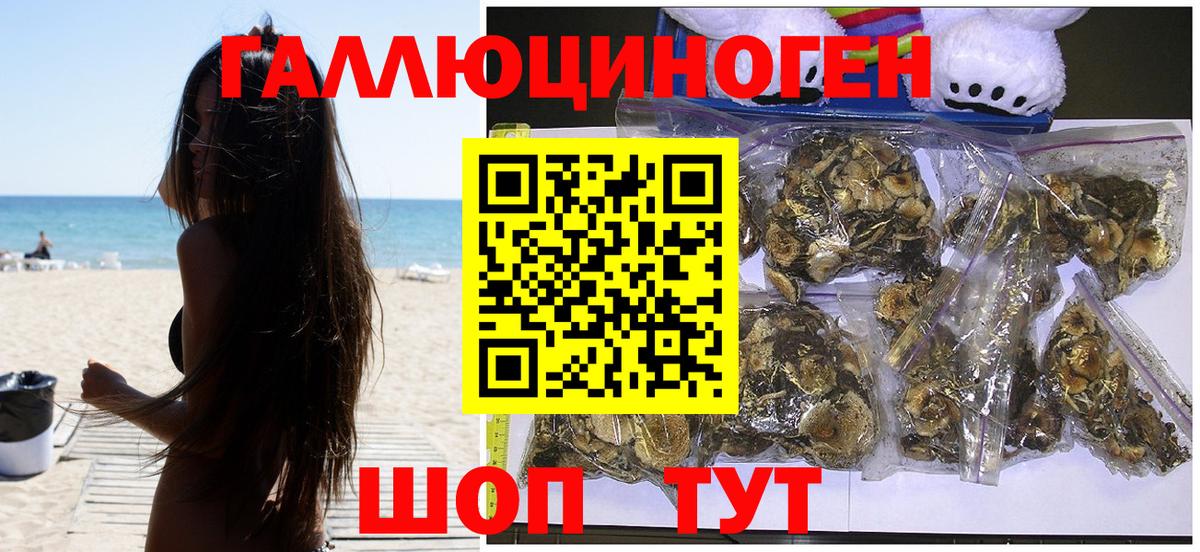 Псилоцибиновые грибы Psilocybe  Вход с VPN  Заречный 